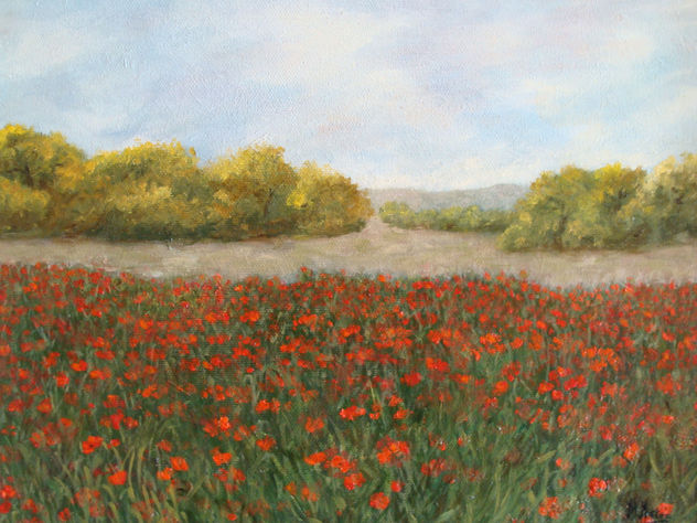 CAMPO DE AMAPOLAS