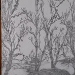 dibujos de Cecilia Petasne thumbnail 1