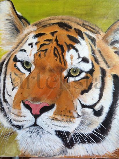 El tigre primero Oil Canvas Animals