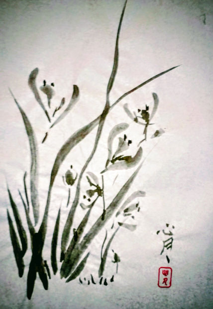 Orquidias