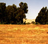 paisaje