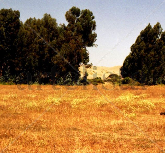 paisaje