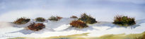 Dunas