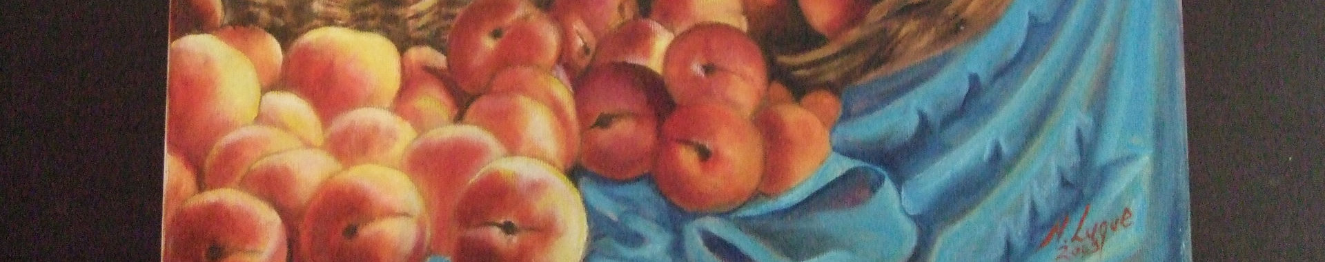Imagen de portada