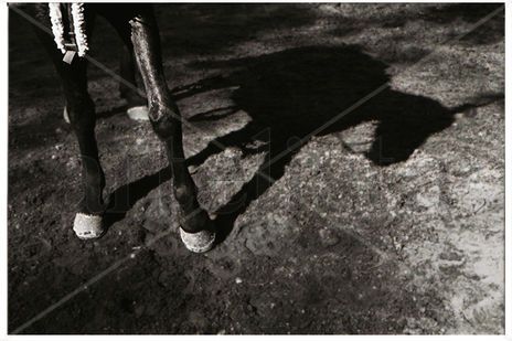 A la sombras