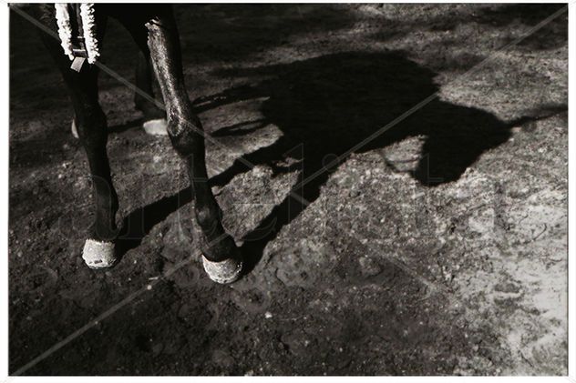 A la sombras