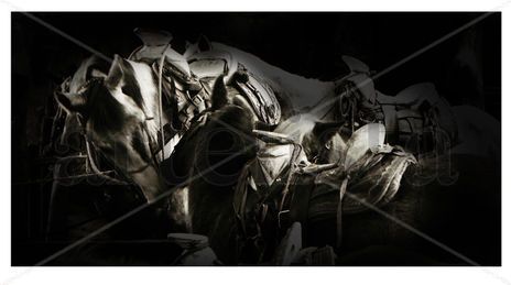 Caballos en colomos