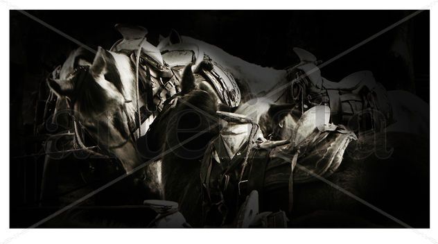 Caballos en colomos