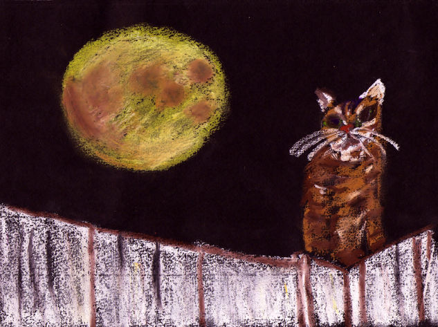 La luna y el gato Pastel Cartulina Animales