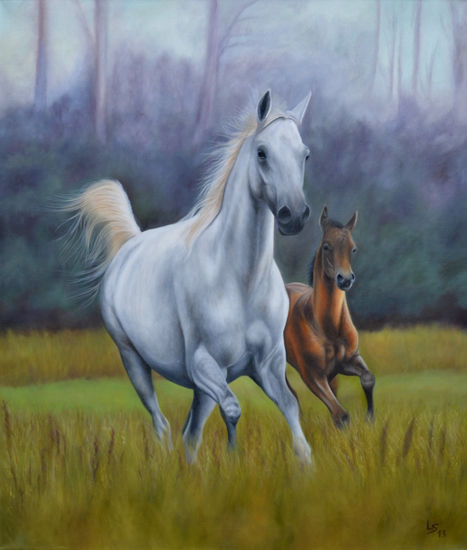 Integracion Oil Canvas Animals