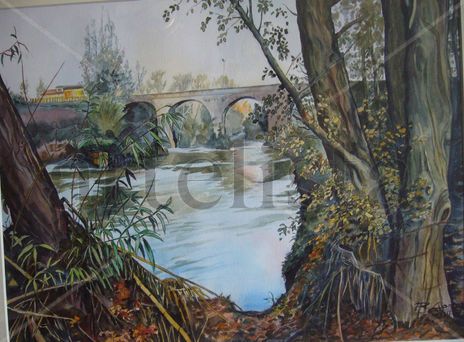 rio Cardener