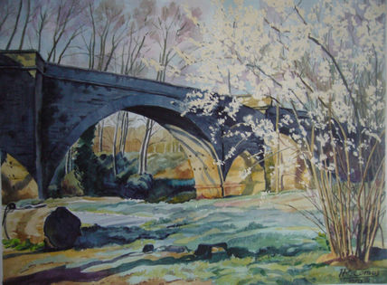 Primavera helada