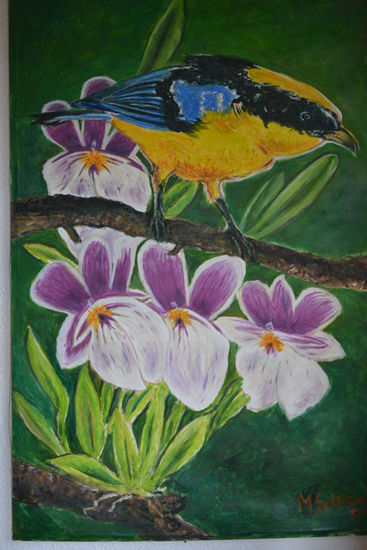 Pájaro y orquideas Oil Canvas Animals