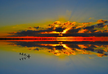 La Tarde VIII