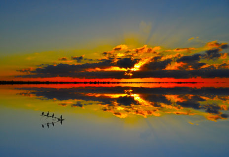 La Tarde VIII
