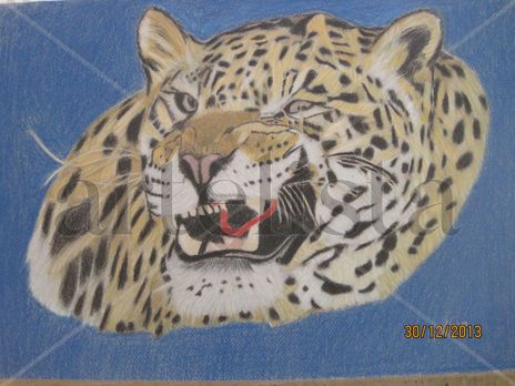 Animales