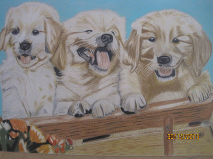 Animales