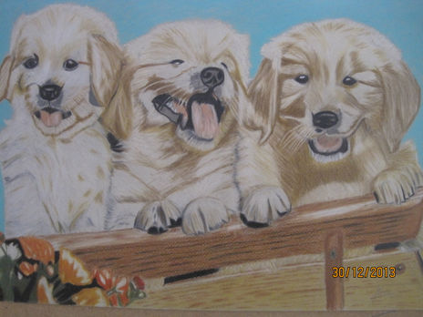 Animales