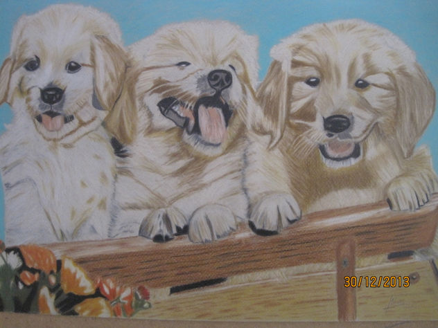 animales