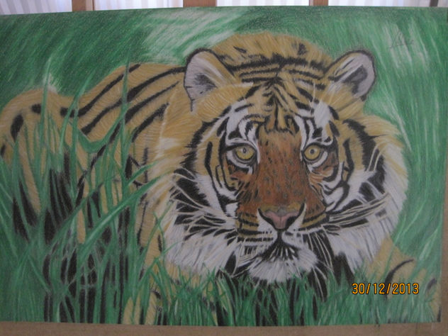 animales