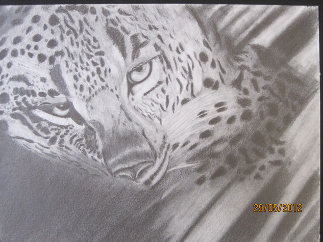 animales Charcoal