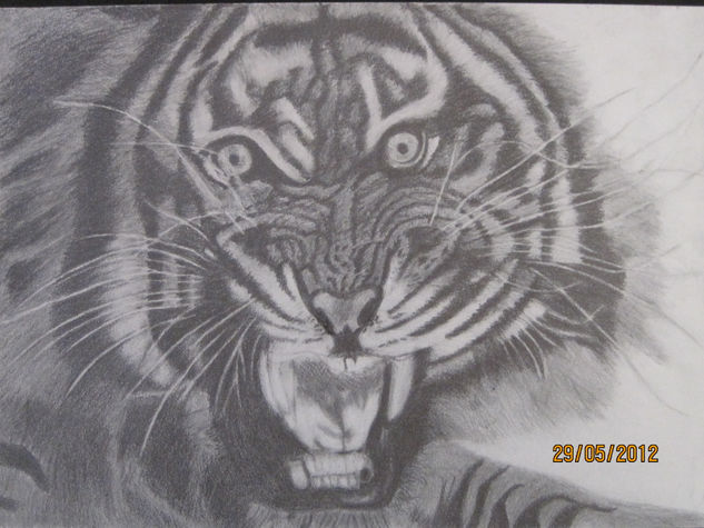 animales Charcoal