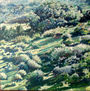 paisaje-4
