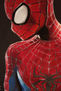 SPIDERMAN 2013