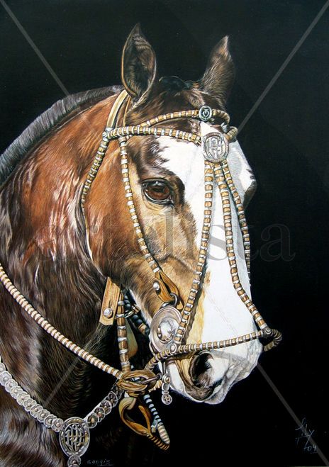Criollo IV
