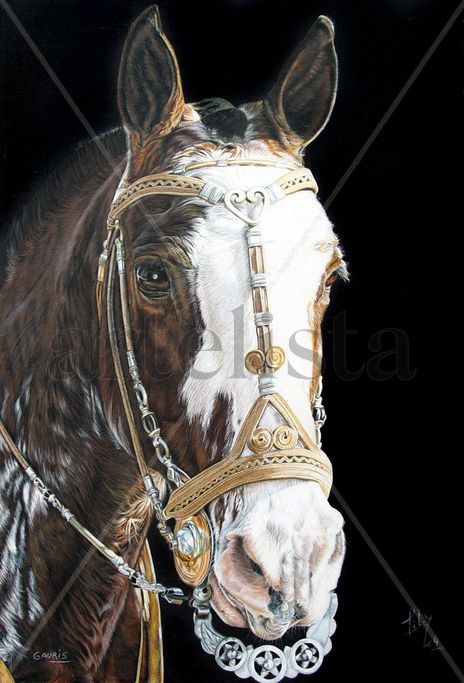 Criollo II