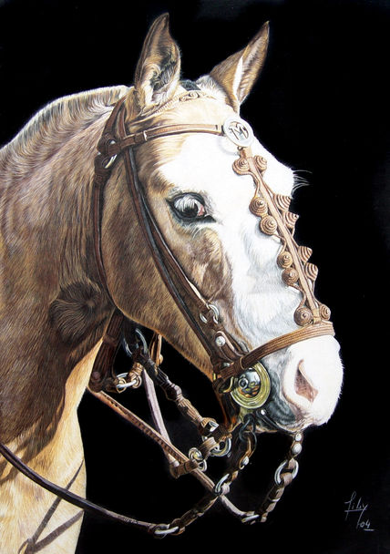 Criollo III