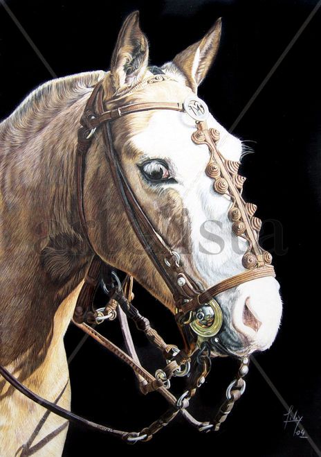 Criollo III