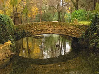 Isleta de los patos II