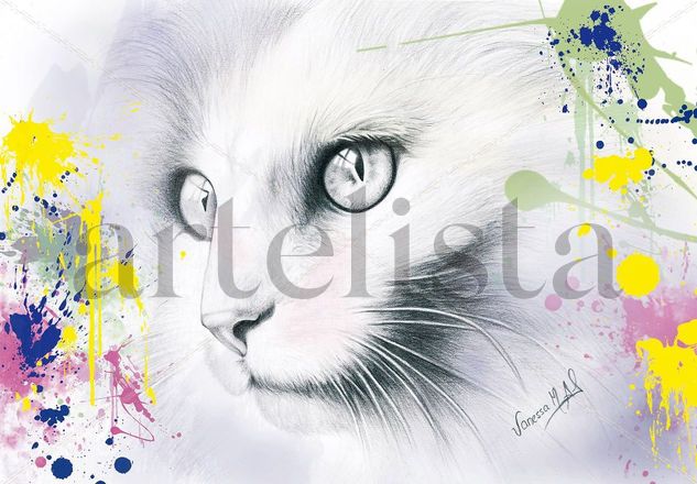 MIRADA FELINA Mixed Media