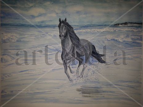 Caballo en la playa