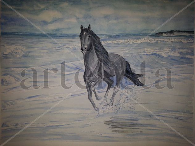 Caballo en la playa