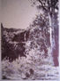 paisaje