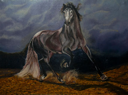 Salvaje