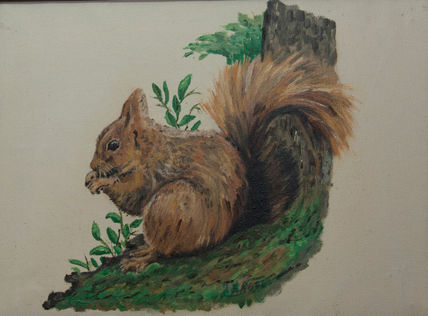 Ardilla