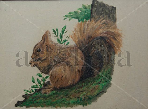 ARDILLA Oil Canvas Animals