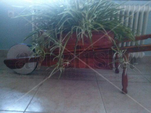 carreton,macetero