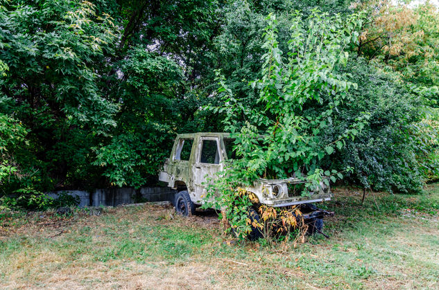 Old car/Viejo coche Nature Color (Digital)