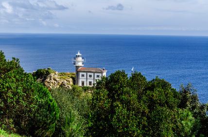 Lighthouse/ Faro