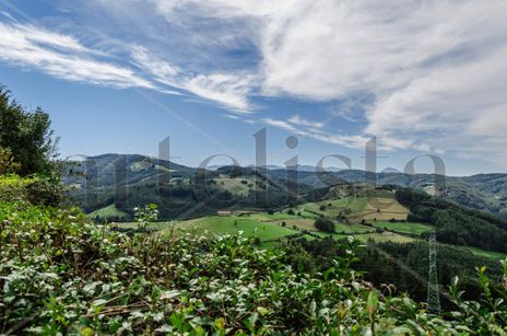Landscape/ Paisaje