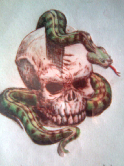 Calavera con serpiente