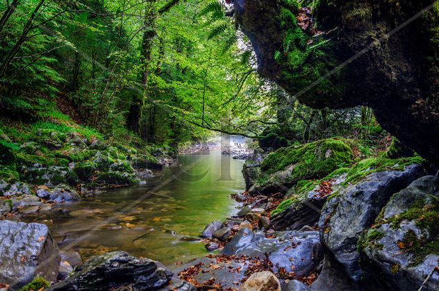Beautiful river/ Hermoso río