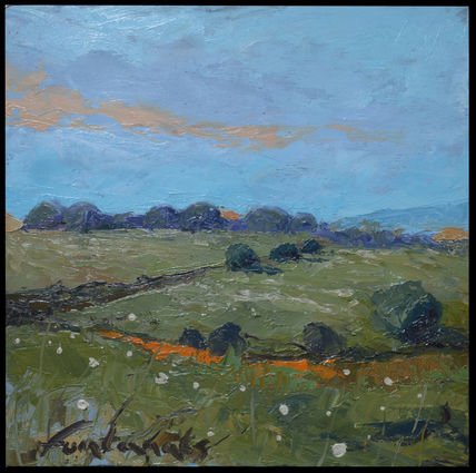 Llums de Primavera