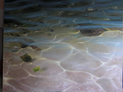 ¨Transparencia¨
