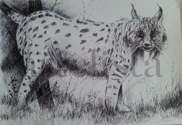 Lince Tinta Papel Animales