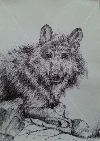 Lobo Tinta Papel Animales